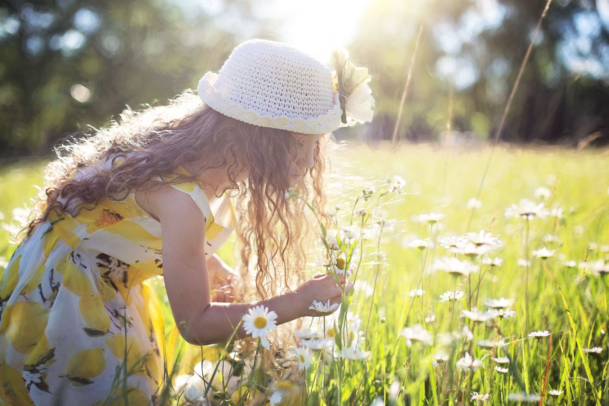 Parenting tweens - young girl picking daisies in a meadow